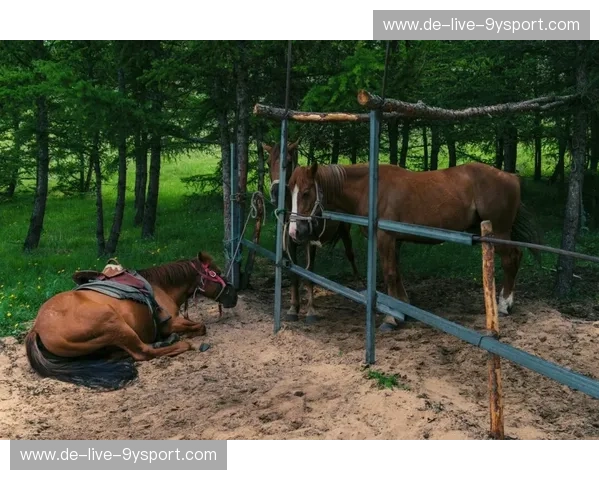 墨尔本vs上海：一场关于生活方式的浪漫邂逅